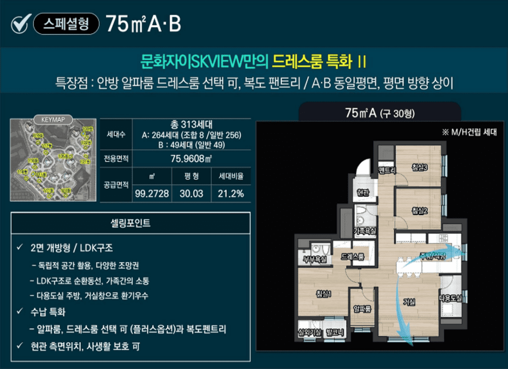 대전 문화자이SK뷰 75㎡A,B타입